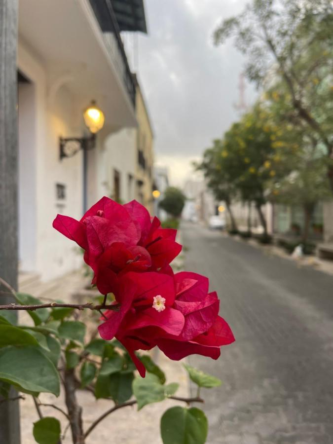 Vbermor Hotel Santo Domingo Esterno foto